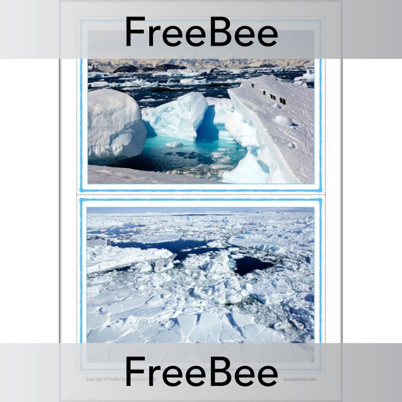 PlanBee FREE Antarctica Classroom Display Cards by PlanBee