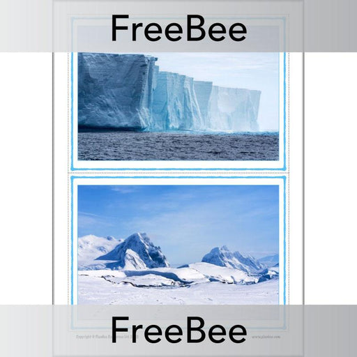 PlanBee FREE Antarctica Classroom Display Cards by PlanBee