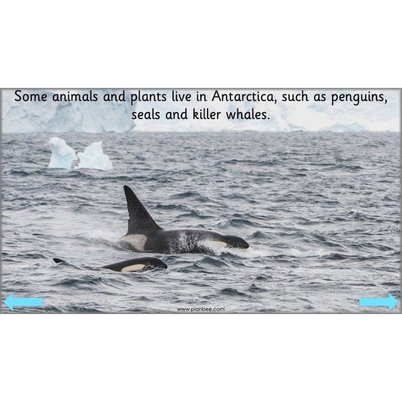 PlanBee Continents of the World KS1 | Around the World Year 1 and Year 2