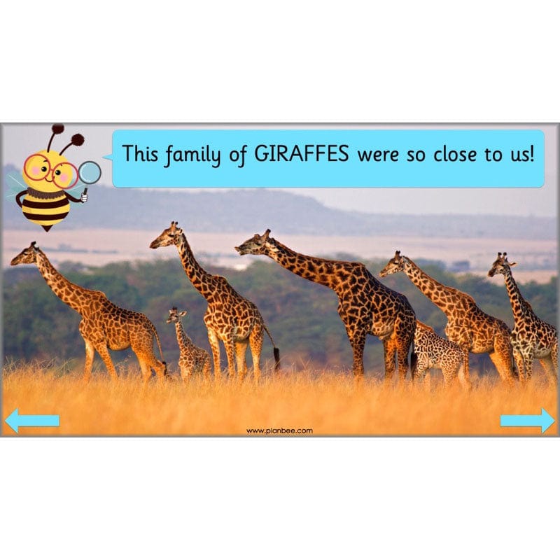 PlanBee Continents of the World KS1 | Around the World Year 1 and Year 2