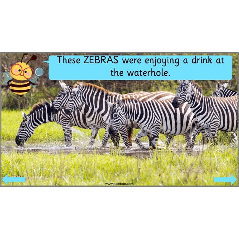 PlanBee Continents of the World KS1 | Around the World Year 1 and Year 2