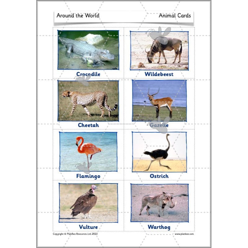 PlanBee Continents of the World KS1 | Around the World Year 1 and Year 2