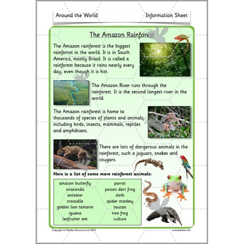 PlanBee Continents of the World KS1 | Around the World Year 1 and Year 2