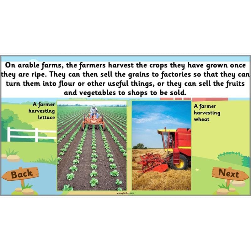 PlanBee At the Farm lesson plans KS1 Geography pack by PlanBee