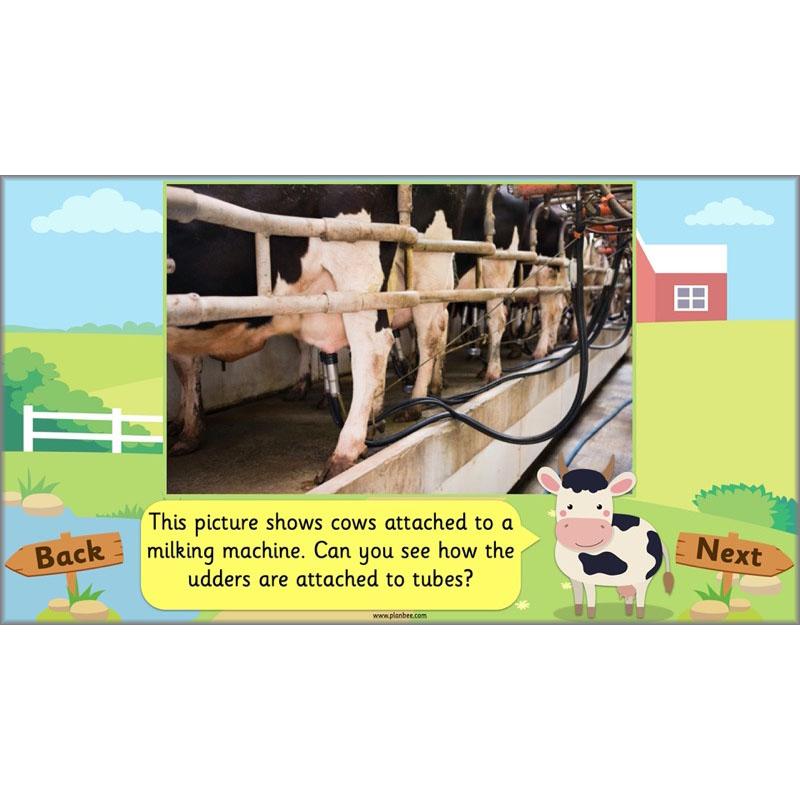 PlanBee At the Farm lesson plans KS1 Geography pack by PlanBee