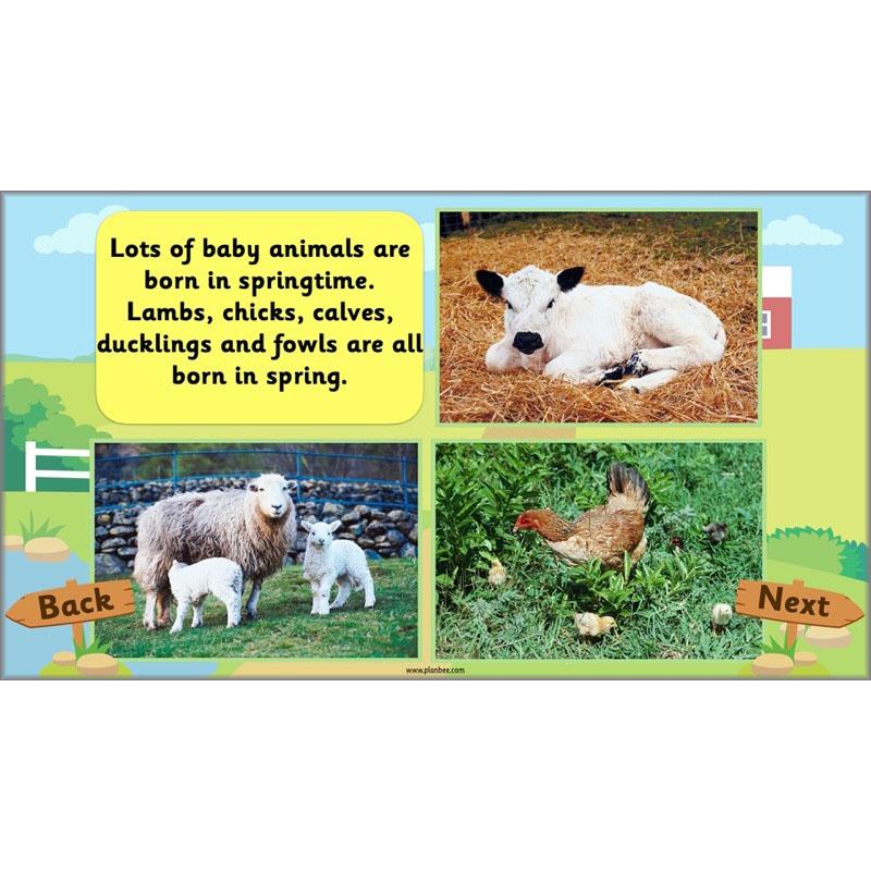 PlanBee At the Farm lesson plans KS1 Geography pack by PlanBee