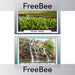 PlanBee Australian Landscape Picture Cards | PlanBee FreeBees