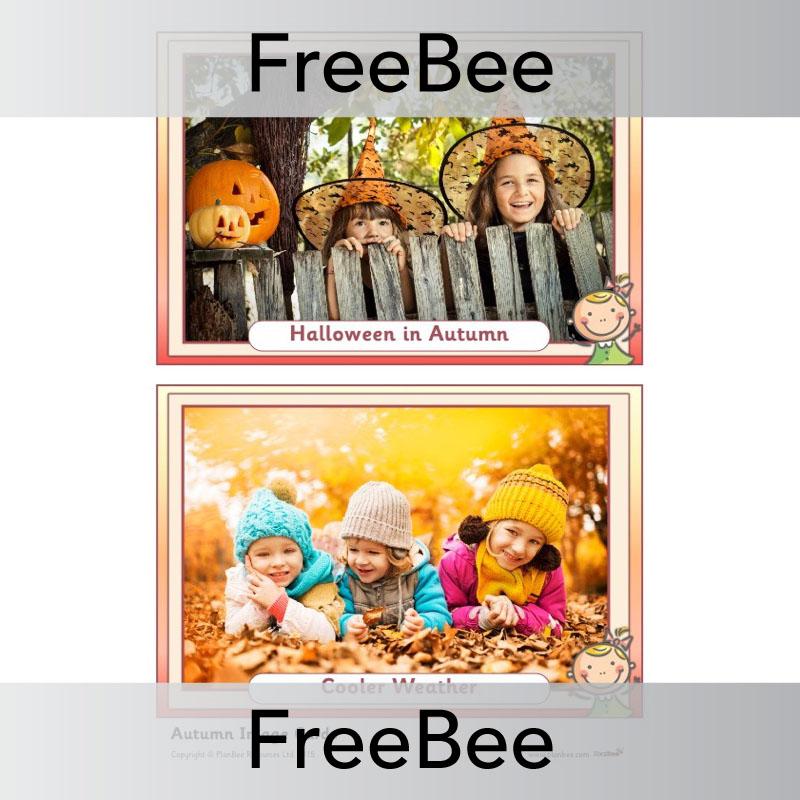 PlanBee Autumn Display Pack | PlanBee FreeBees
