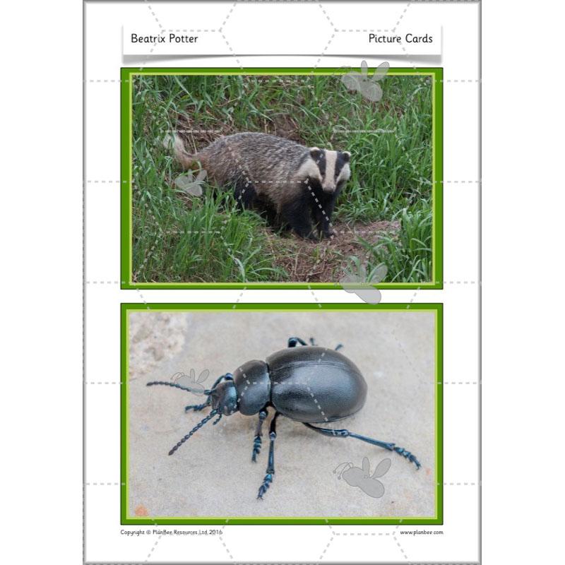 PlanBee Beatrix Potter KS1 Lesson Plans and Resources by PlanBee