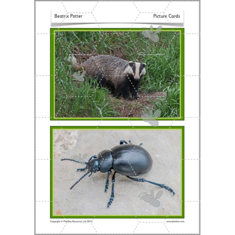 Beatrix Potter KS1 Lesson Plans and Resources by PlanBee