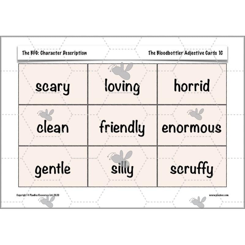 PlanBee The BFG Character Description | Planning and Resources | Year 3