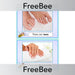 PlanBee Body Parts Word Cards | PlanBee FreeBees