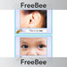PlanBee Body Parts Word Cards | PlanBee FreeBees