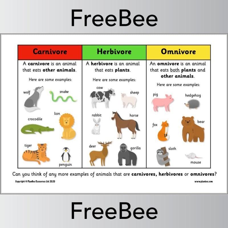 Examples Of Herbivores examples-of-herbivores