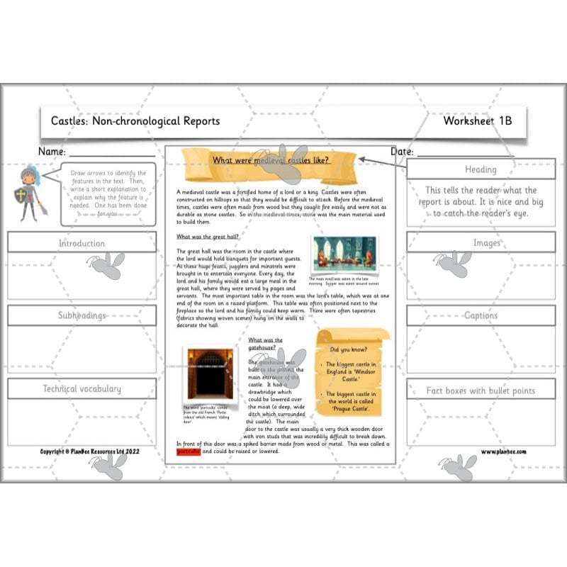 PlanBee Castles Year 2 English Planning Pack by PlanBee