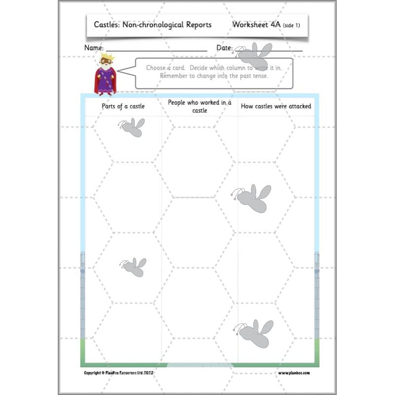 PlanBee Castles Year 2 English Planning Pack by PlanBee