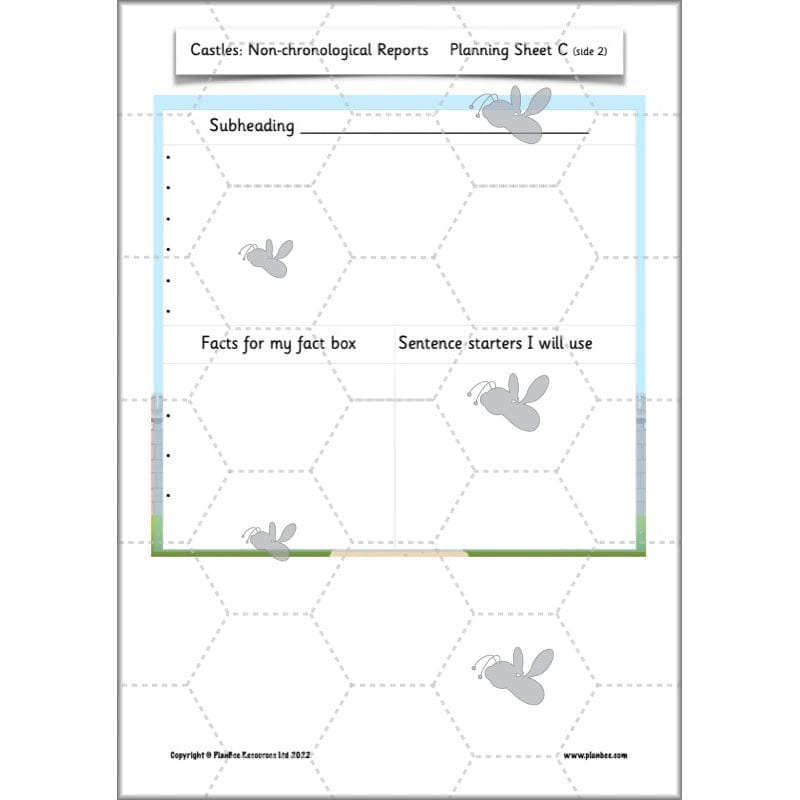 PlanBee Castles Year 2 English Planning Pack by PlanBee