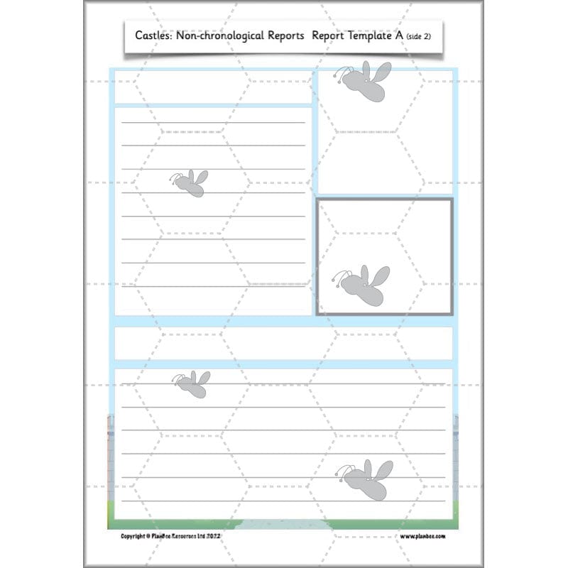 PlanBee Castles Year 2 English Planning Pack by PlanBee