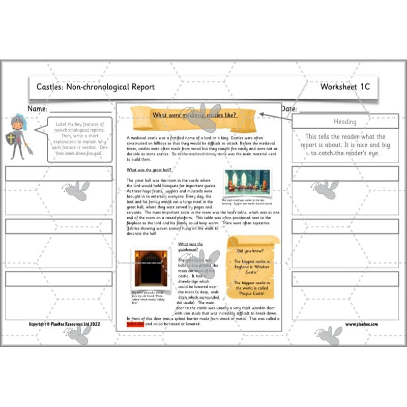 PlanBee Castles Year 2 English Planning Pack by PlanBee