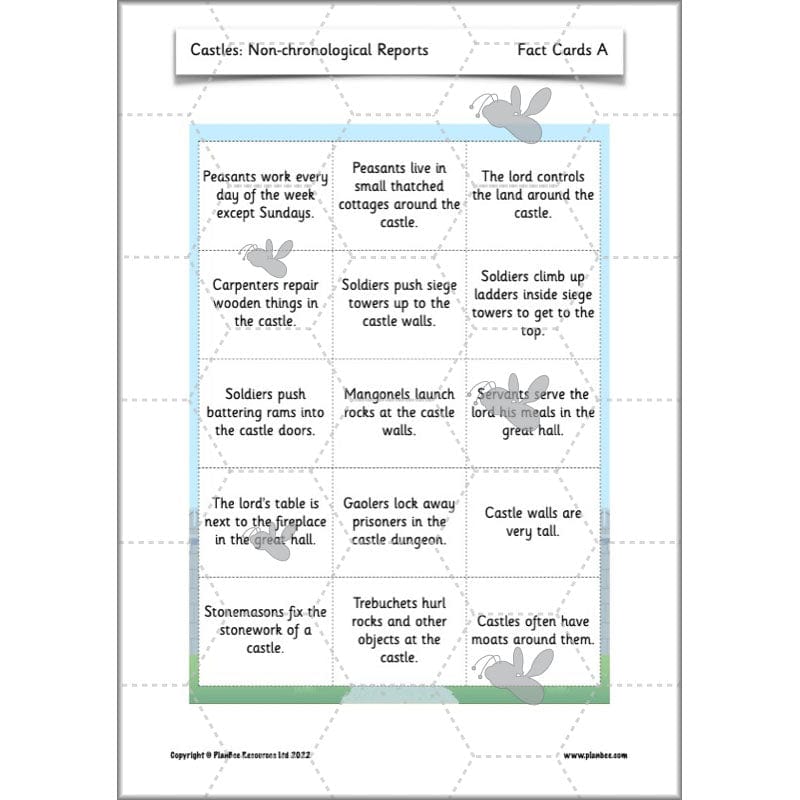 PlanBee Castles Year 2 English Planning Pack by PlanBee
