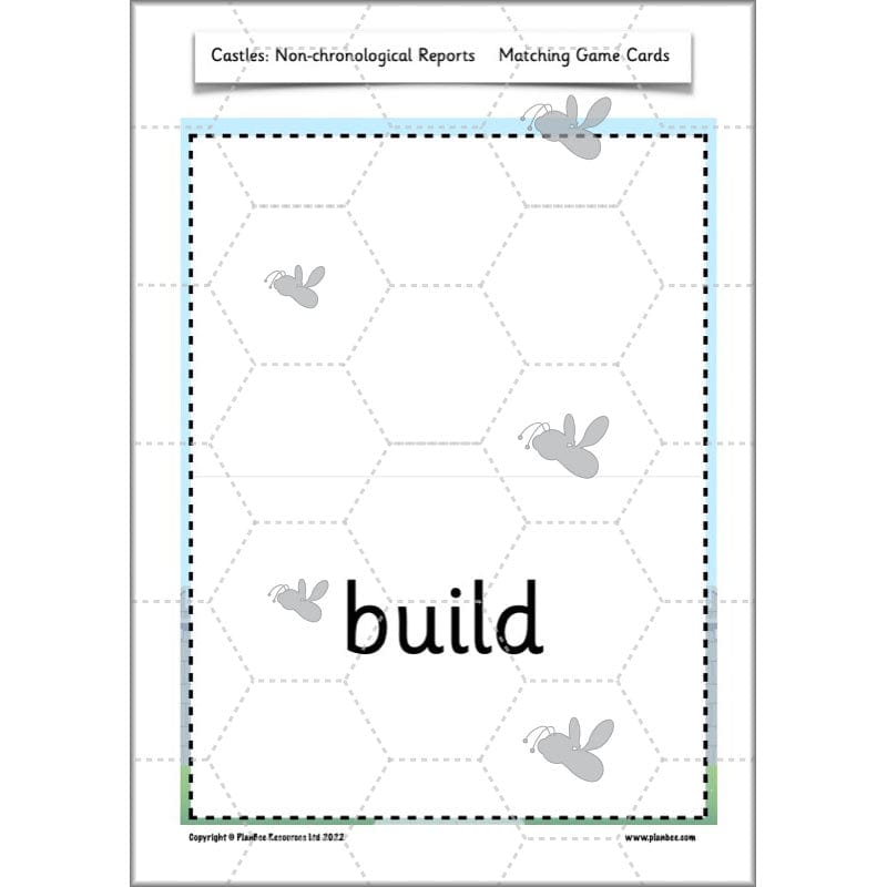 PlanBee Castles Year 2 English Planning Pack by PlanBee