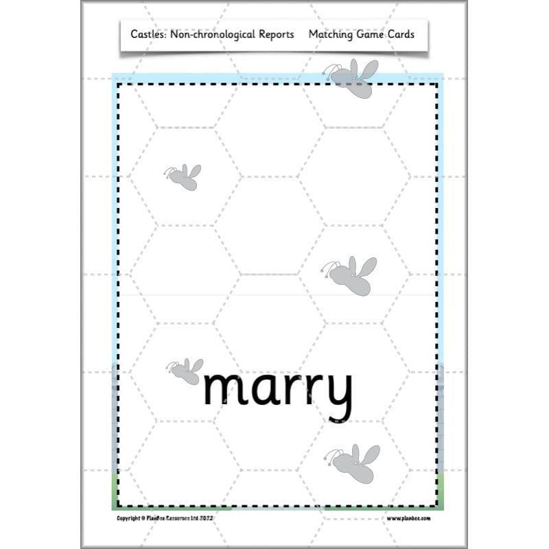 PlanBee Castles Year 2 English Planning Pack by PlanBee