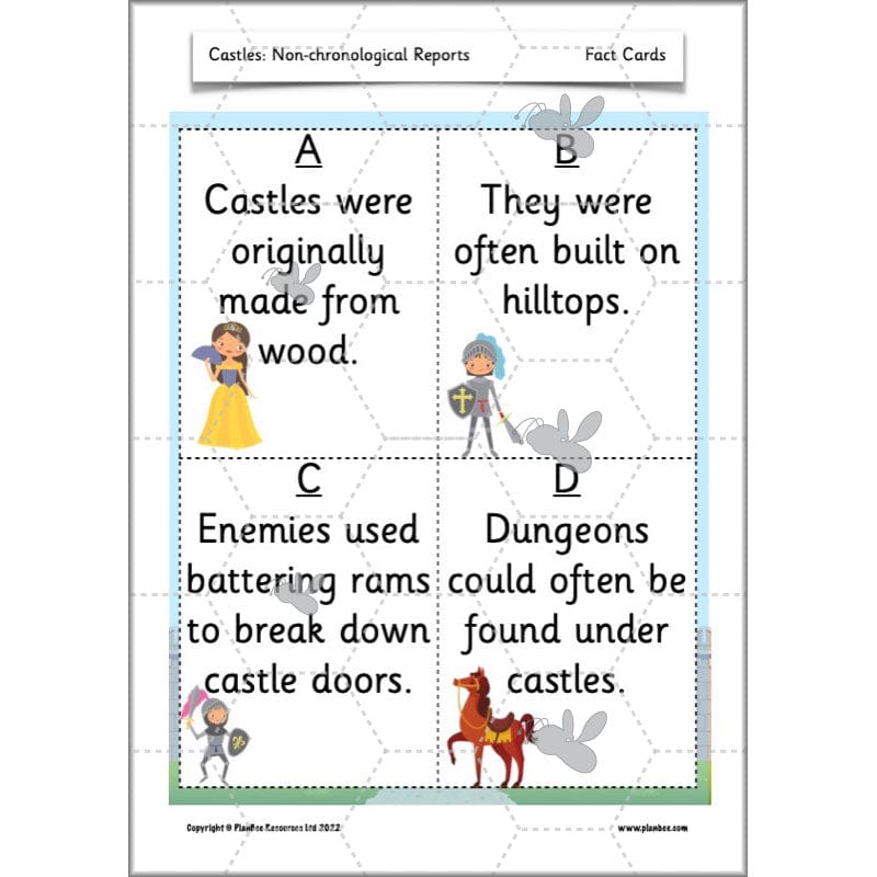 PlanBee Castles Year 2 English Planning Pack by PlanBee