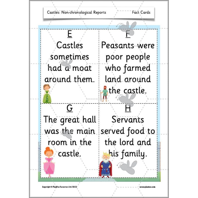 PlanBee Castles Year 2 English Planning Pack by PlanBee