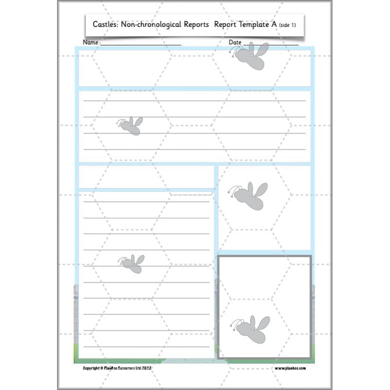 PlanBee Castles Year 2 English Planning Pack by PlanBee