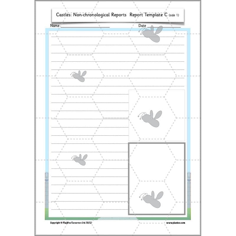 PlanBee Castles Year 2 English Planning Pack by PlanBee