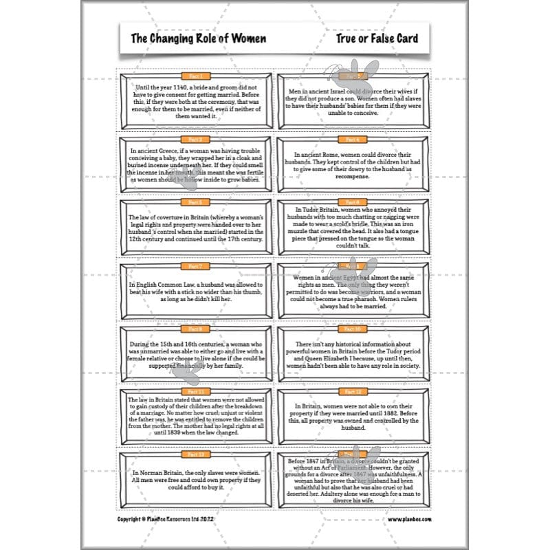 PlanBee The Changing Role of Women KS2 History Resources by PlanBee