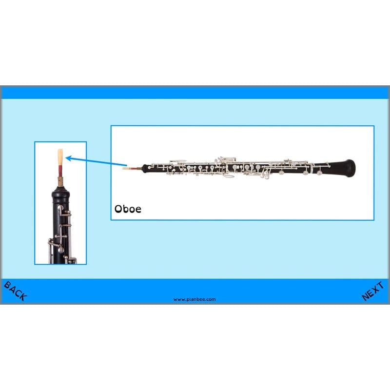 PlanBee Changing Sounds KS2 Year 4 Science Planning | PlanBee