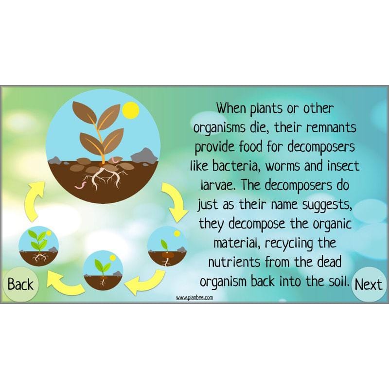 PlanBee Circular Economies KS2 ESR Lesson by PlanBee