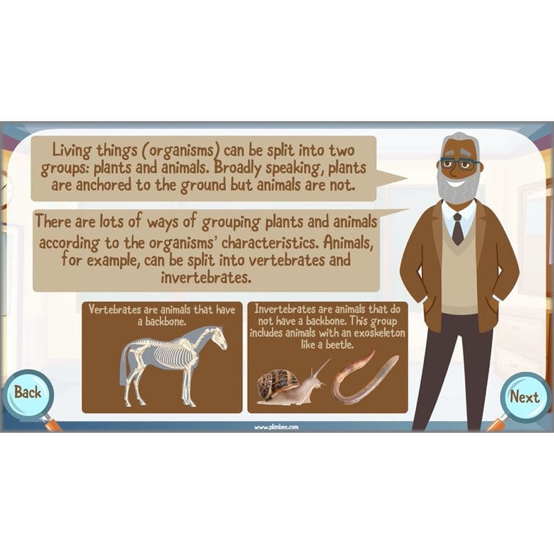 PlanBee Living Things and their Habitats Year 6 | Classifying Organisms