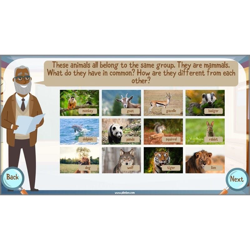 PlanBee Living Things and their Habitats Year 6 | Classifying Organisms