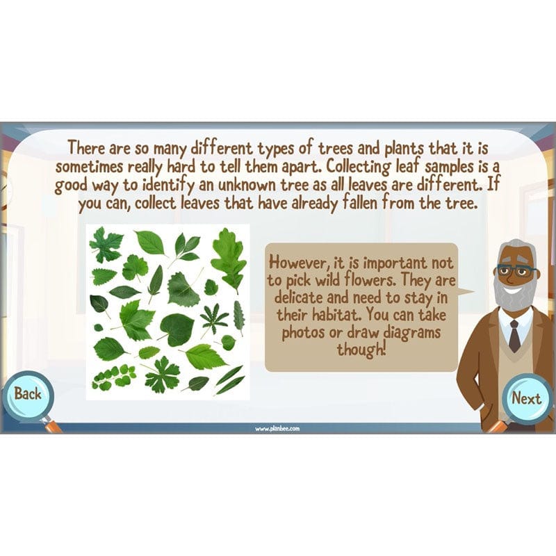 PlanBee Living Things and their Habitats Year 6 | Classifying Organisms