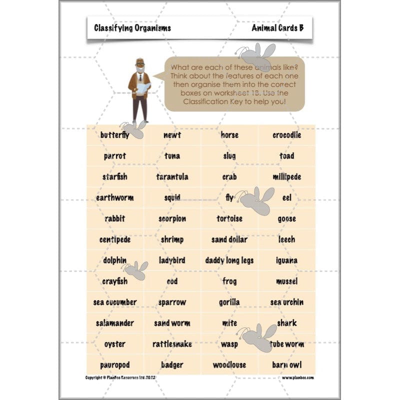 PlanBee Living Things and their Habitats Year 6 | Classifying Organisms
