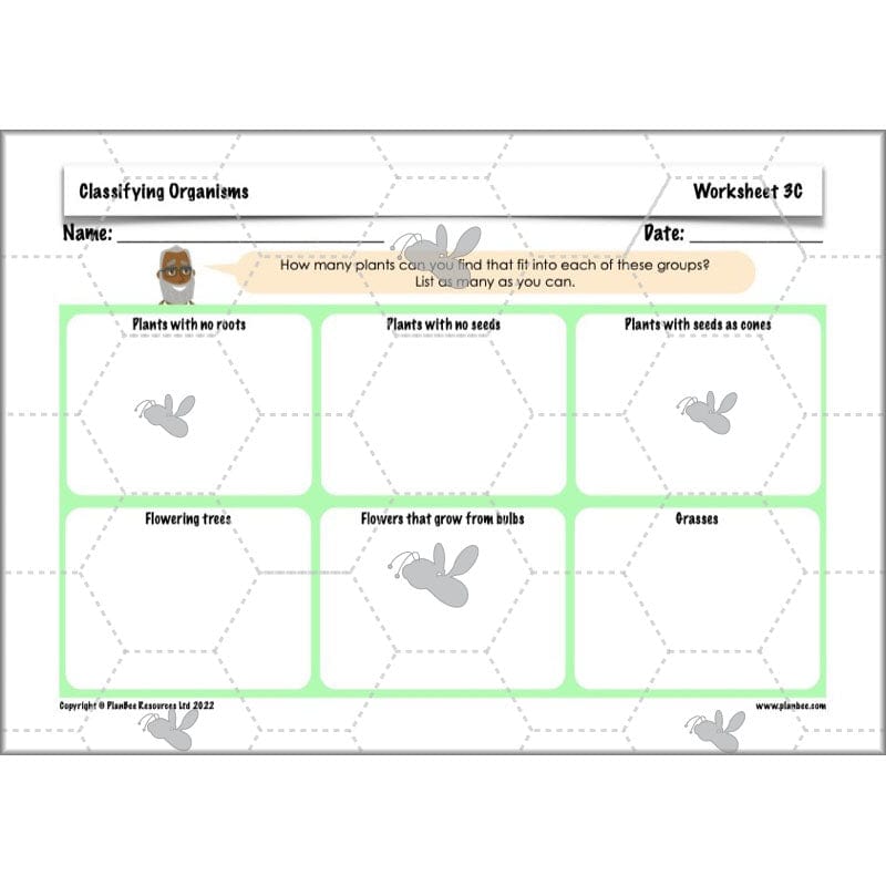 PlanBee Living Things and their Habitats Year 6 | Classifying Organisms