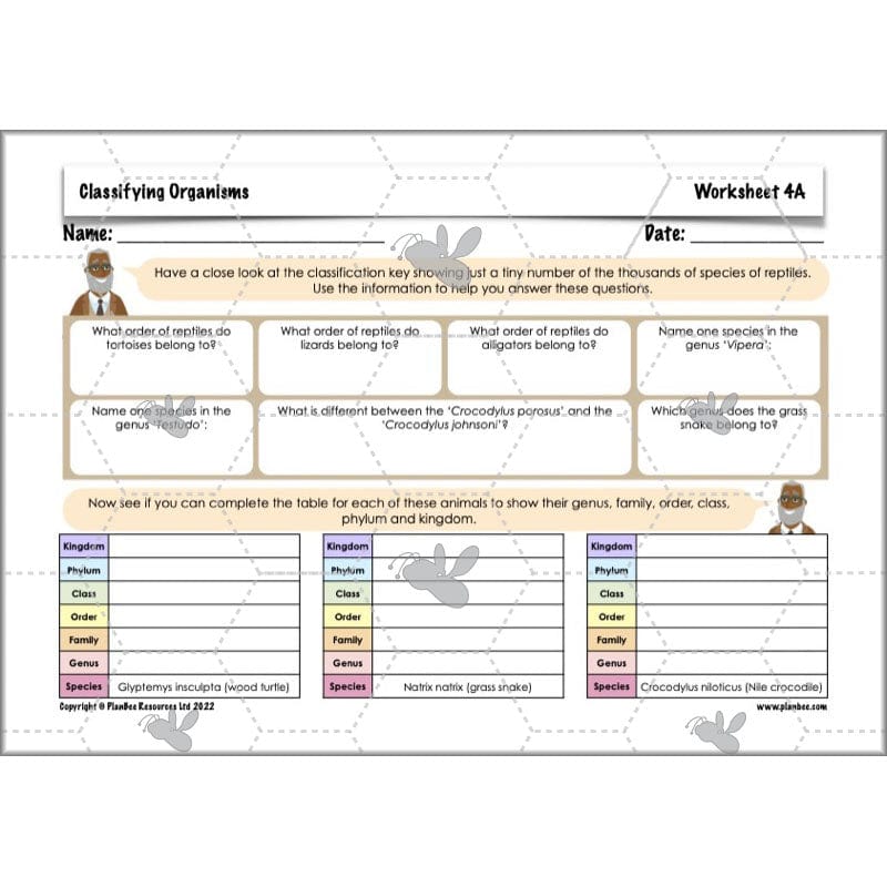 PlanBee Living Things and their Habitats Year 6 | Classifying Organisms