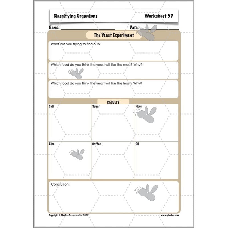 PlanBee Living Things and their Habitats Year 6 | Classifying Organisms