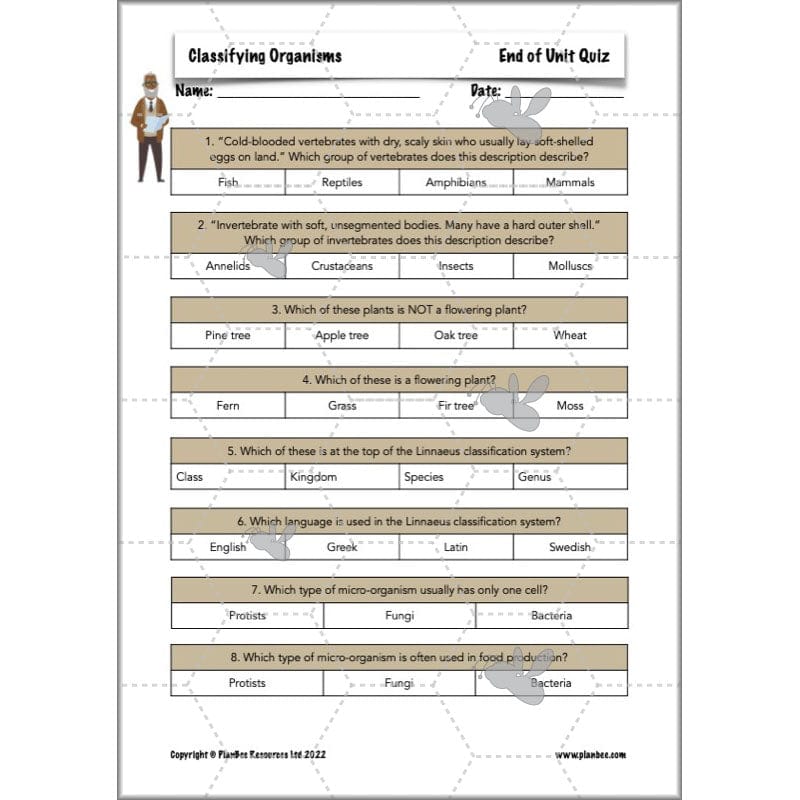 PlanBee Living Things and their Habitats Year 6 | Classifying Organisms