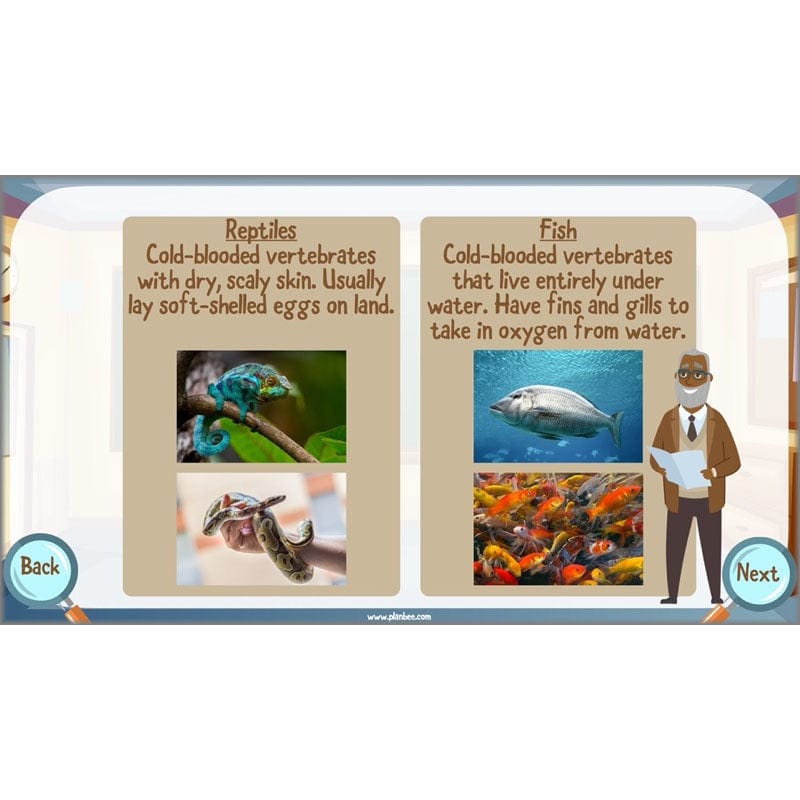 PlanBee Living Things and their Habitats Year 6 | Classifying Organisms