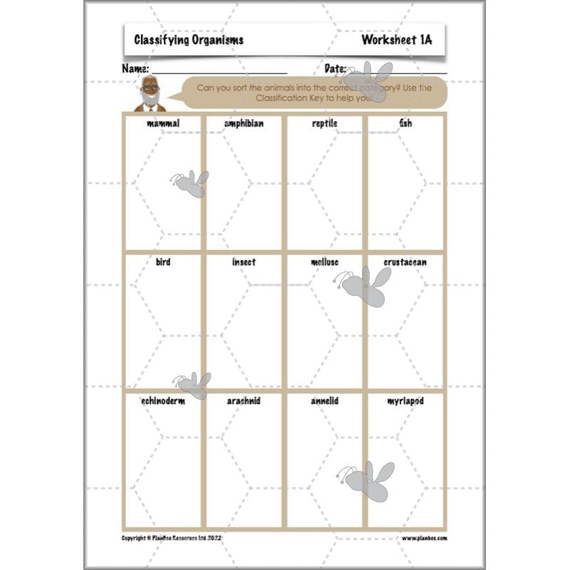 PlanBee Living Things and their Habitats Year 6 | Classifying Organisms