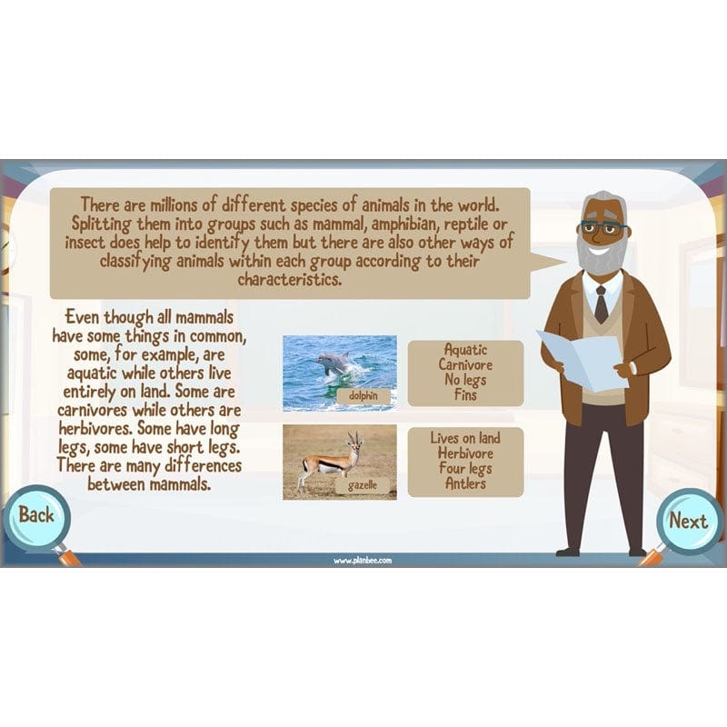 PlanBee Living Things and their Habitats Year 6 | Classifying Organisms