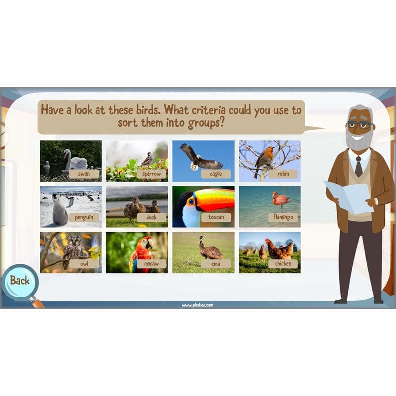 PlanBee Living Things and their Habitats Year 6 | Classifying Organisms