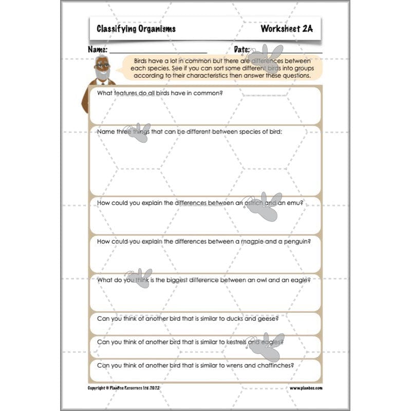 PlanBee Living Things and their Habitats Year 6 | Classifying Organisms