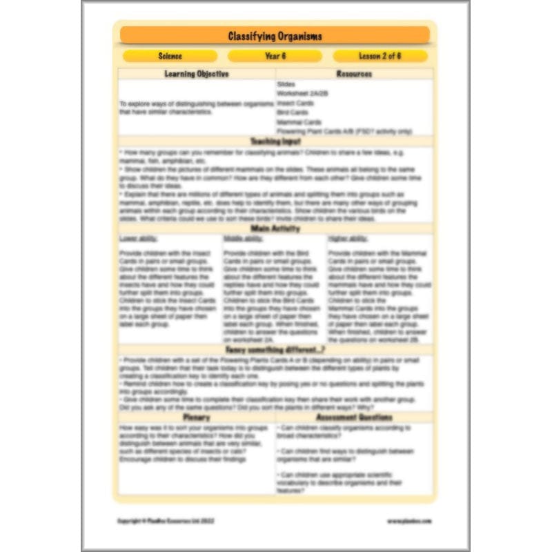 PlanBee Living Things and their Habitats Year 6 | Classifying Organisms