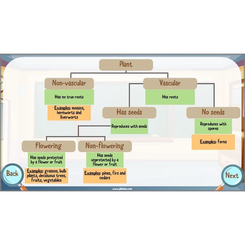 PlanBee Living Things and their Habitats Year 6 | Classifying Organisms