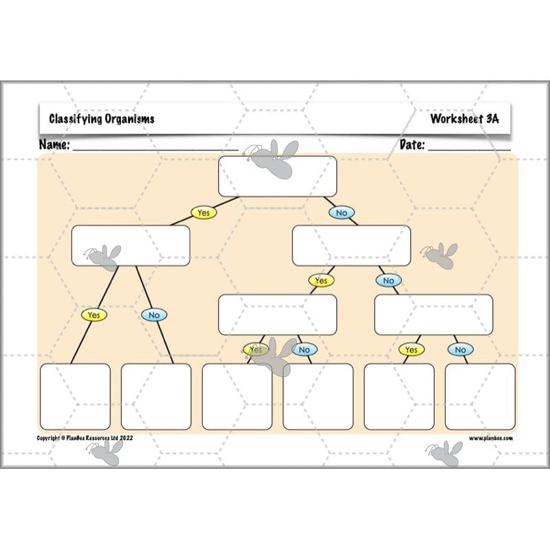 PlanBee Living Things and their Habitats Year 6 | Classifying Organisms