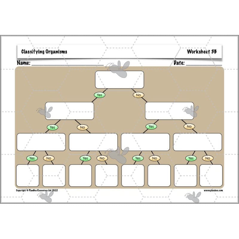 PlanBee Living Things and their Habitats Year 6 | Classifying Organisms